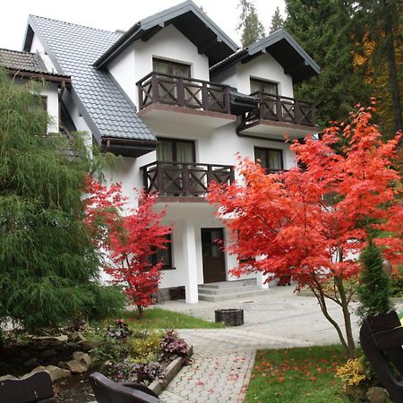 Gosciniec Bed & Breakfast Krynica Zdroj Luaran gambar